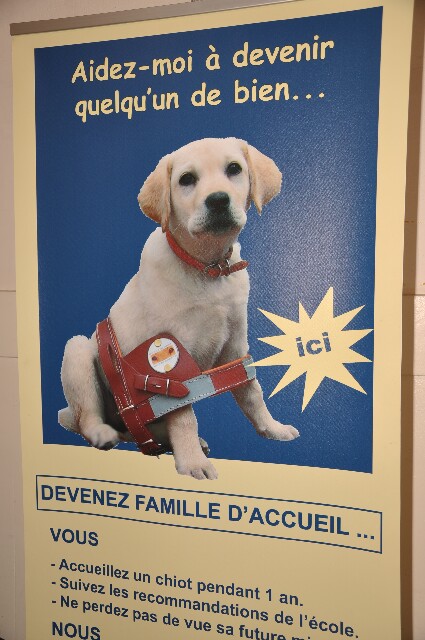 min 2009 06 14 bailleul 408